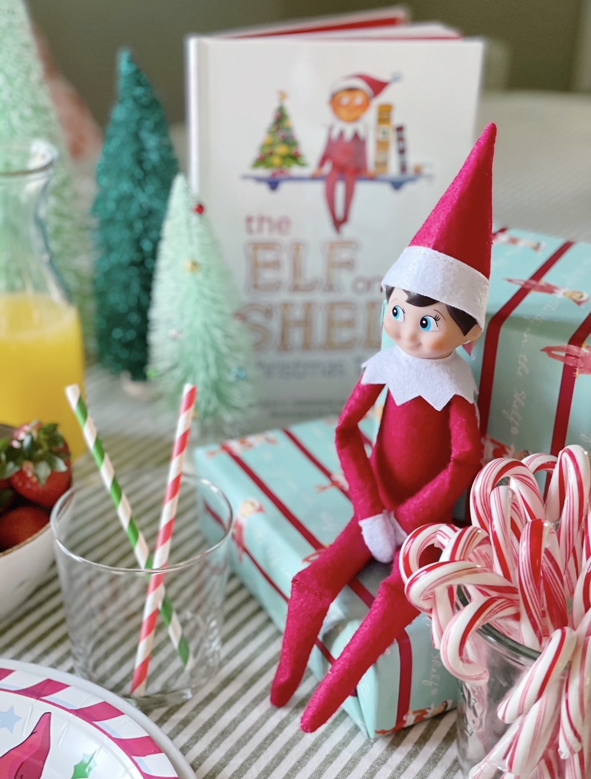 Elf on the Shelf Ideas