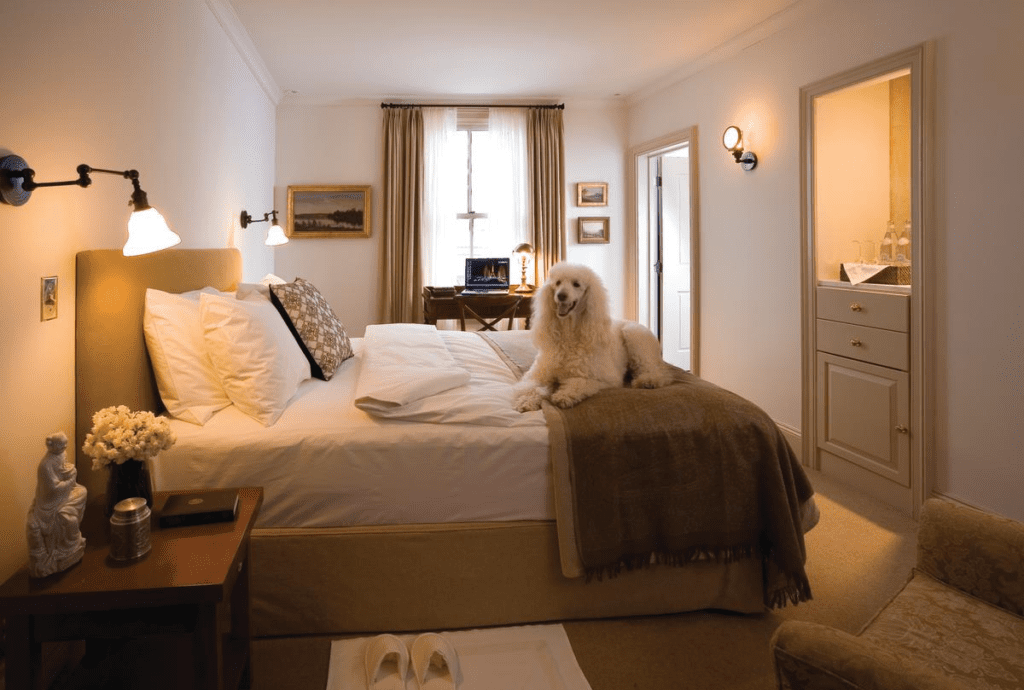 Pet Friendly Hotels in the Poconos