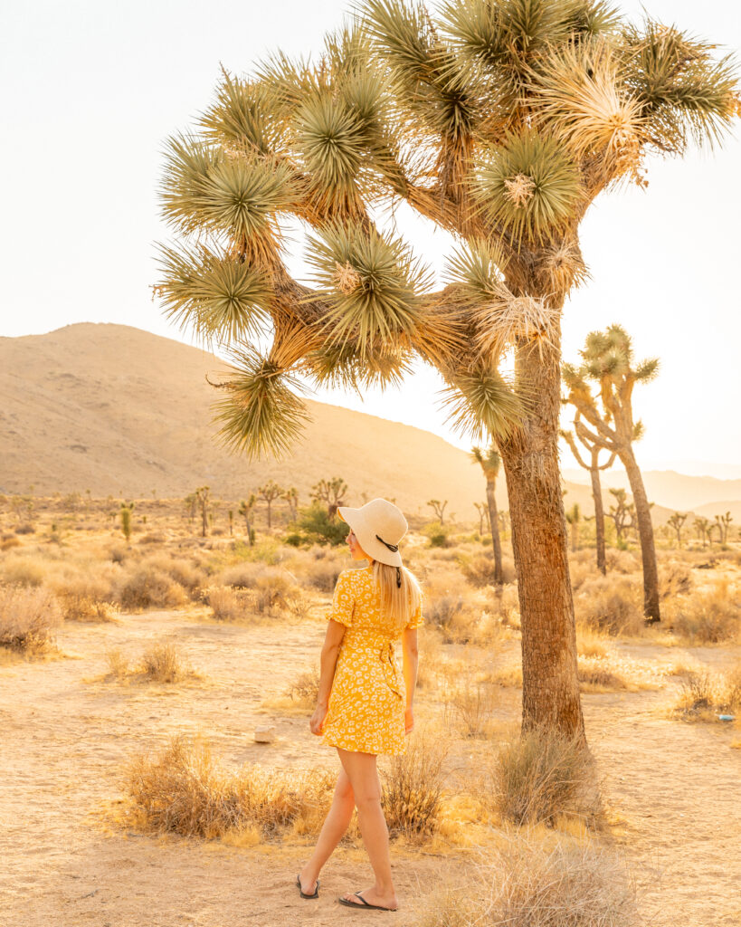 travel blogger in joshua tree, joshua tree photo shoot