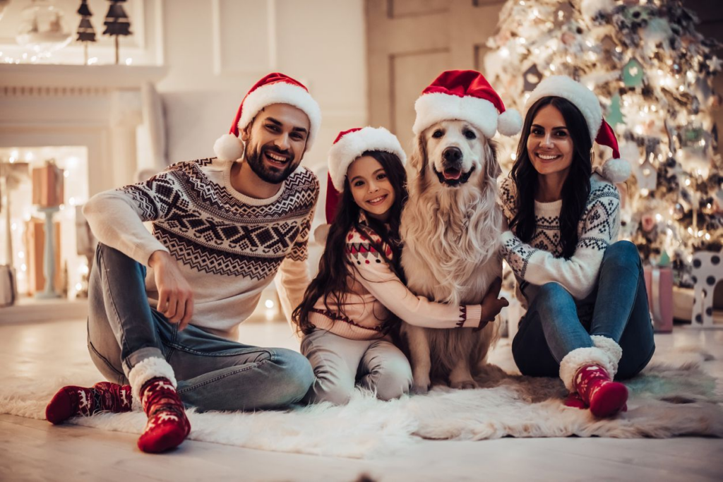 Christmas photos with dog. dog in Santa hat